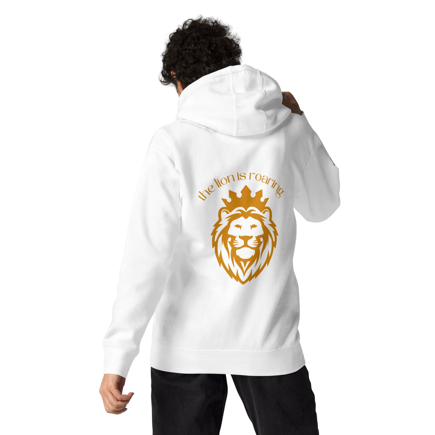 Sweatshirt com capuz: Lion SE